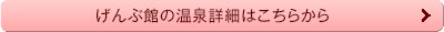 げんぶ館のより詳しい温泉情報はこちら