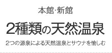 2種類の点ね乗んせん