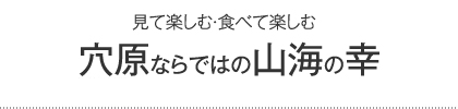 和洋折衷 旬の食彩