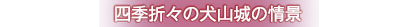 四季折々の犬山城の情景