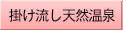 掛け流し天然温泉