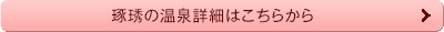 琢琇のより詳しい温泉情報はこちら