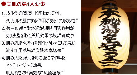 日本秘湯を守る会