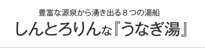 しんとろりんな『うなぎ湯』