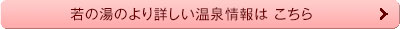 若乃湯のより詳しい温泉情報はこちら